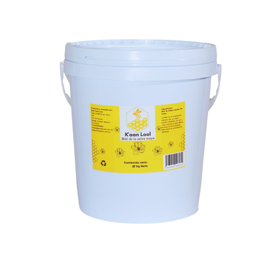 Cubeta de Miel de Abeja 27 Kg Neto Kaan Lool